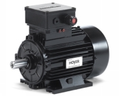 Электродвигатели Hoyer Motors Ex